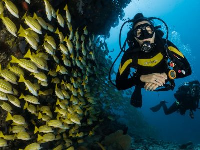 Coral Garden Snorkeling Adventure