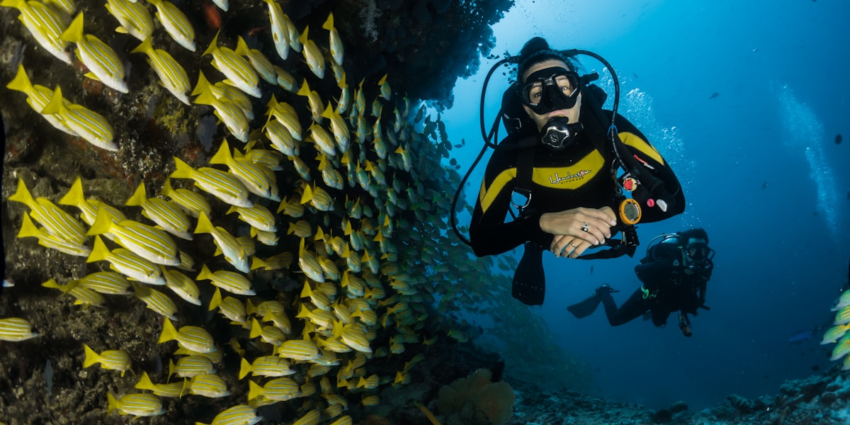 Coral Garden Snorkeling Adventure